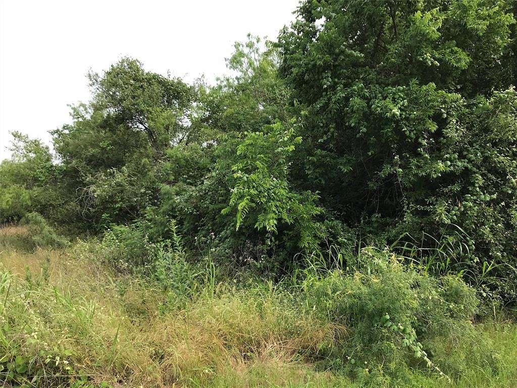 0.256 Acres of Residential Land for Sale in Whitney, Texas