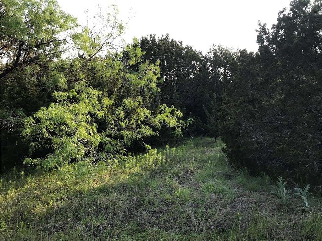 0.257 Acres of Residential Land for Sale in Whitney, Texas