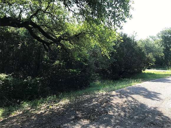 0.321 Acres of Residential Land for Sale in Whitney, Texas