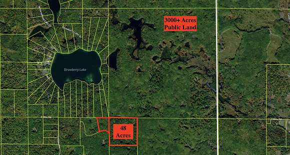 48 Acres of Recreational Land for Sale in Evart, Michigan