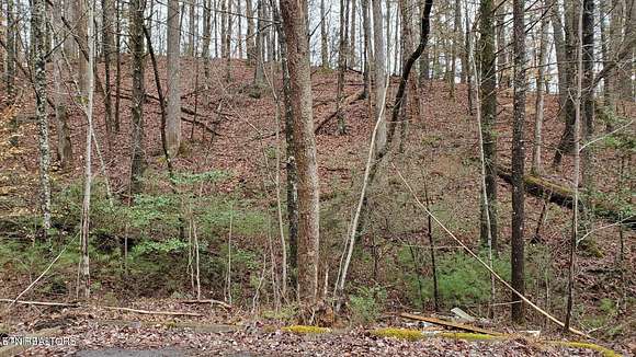 0.79 Acres of Residential Land for Sale in Sevierville, Tennessee