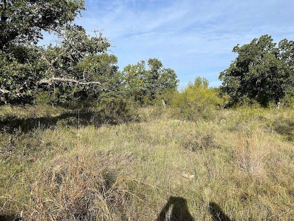 0.279 Acres of Land for Sale in Brownwood, Texas