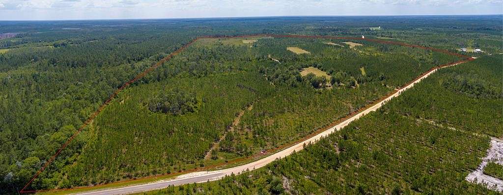 187.71 Acres of Land for Sale in Du Pont, Georgia