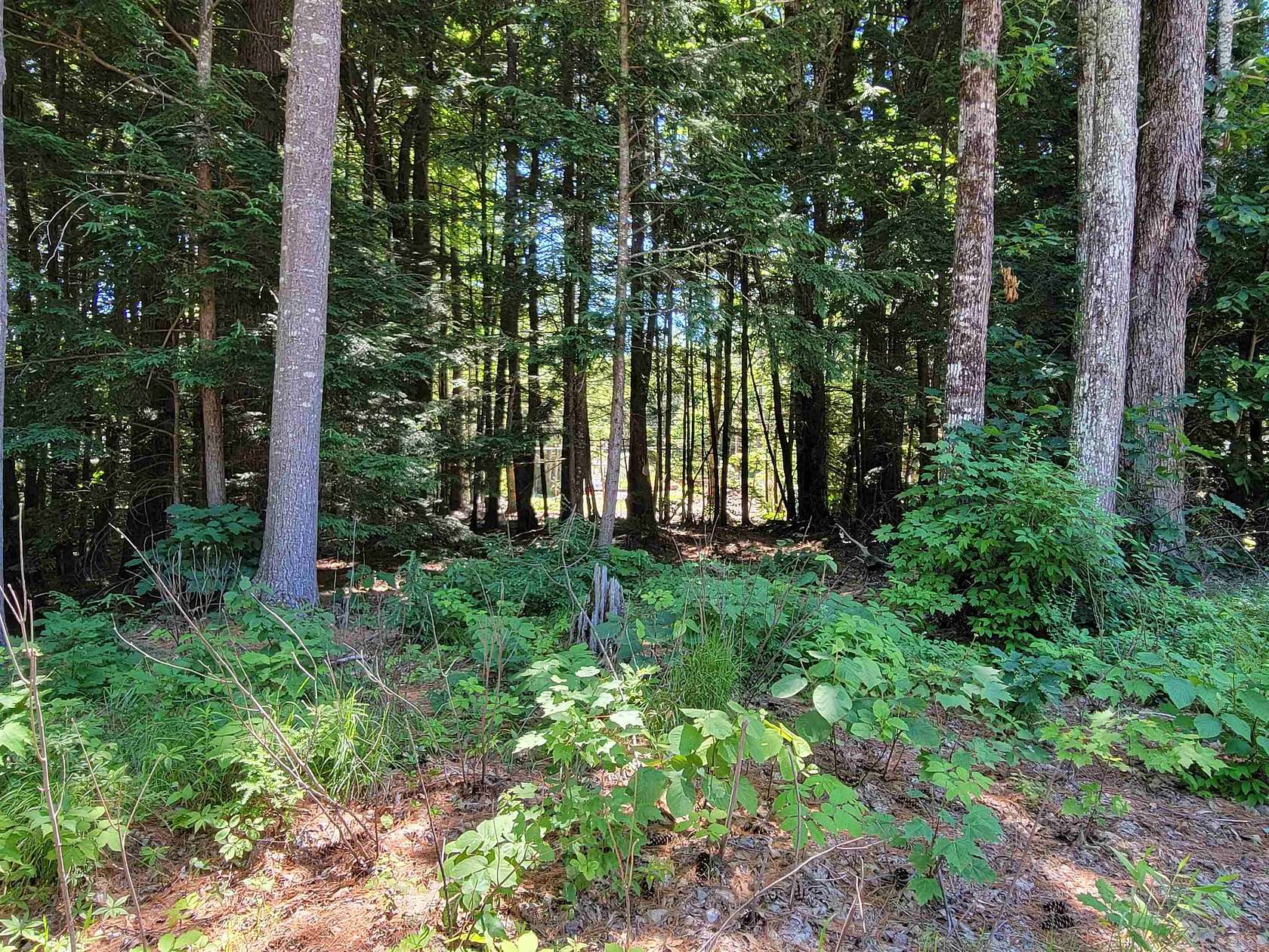 0.22 Acres of Residential Land for Sale in Moultonborough, New Hampshire