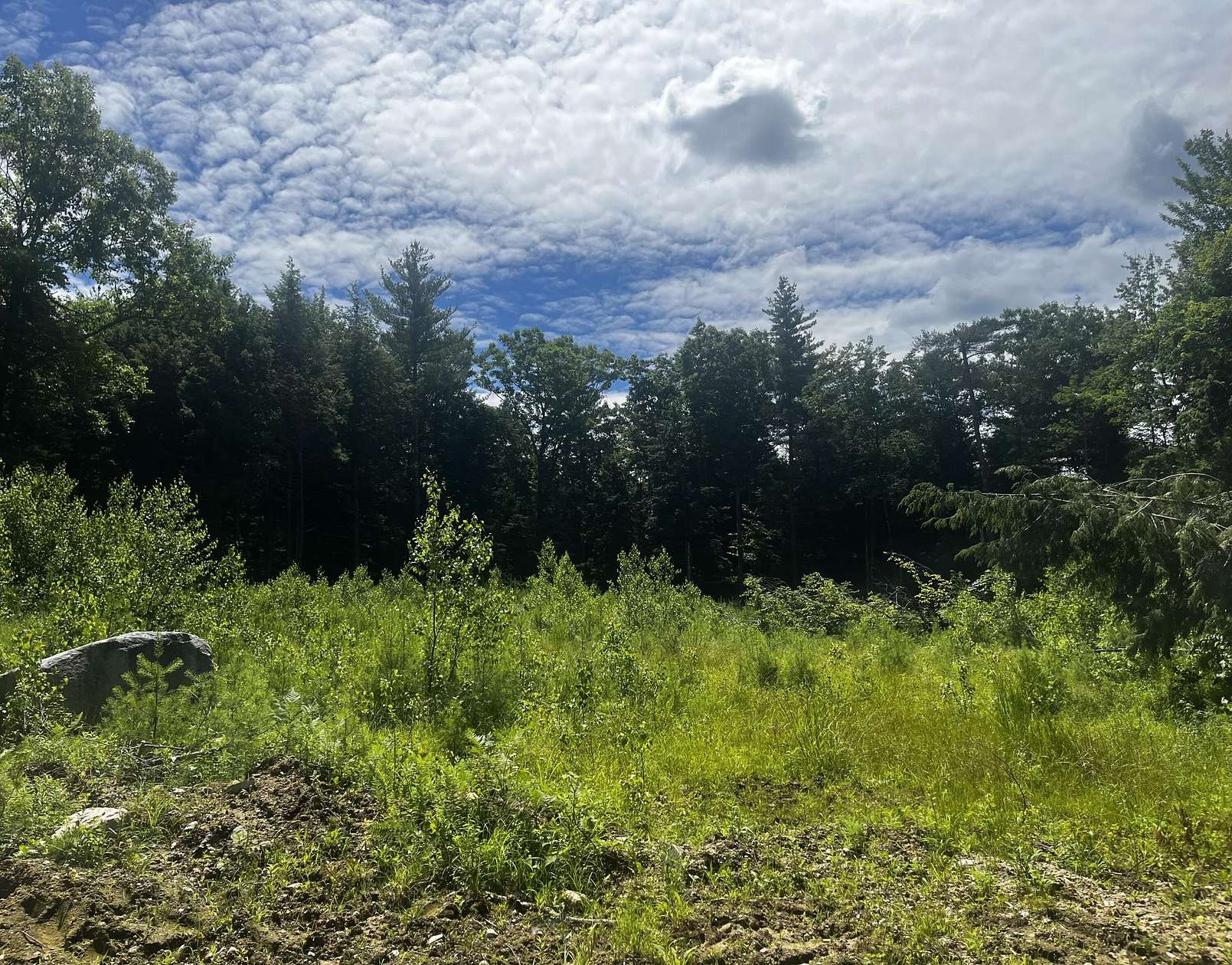 40 Acres of Land for Sale in Parsonsfield, Maine