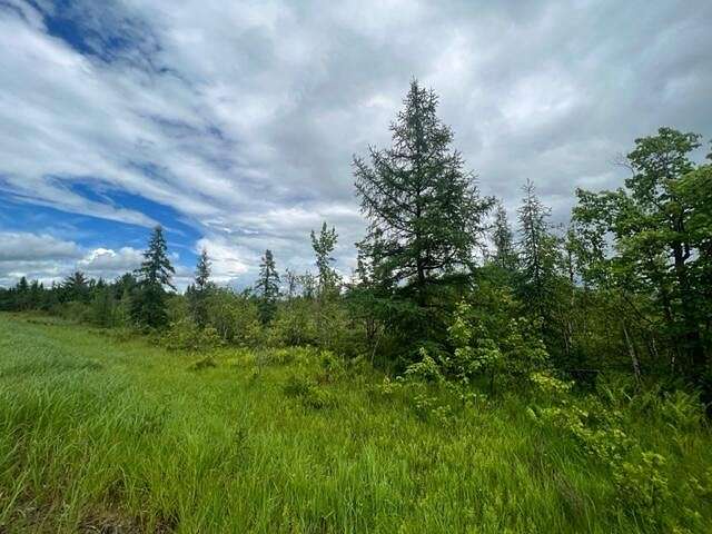 12.7 Acres of Land for Sale in Greenbush, Maine