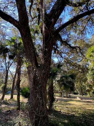 7.96 Acres of Residential Land for Sale in Gainesville, Florida