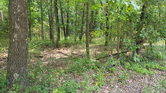 80 Acres of Recreational Land for Sale in Granby, Missouri