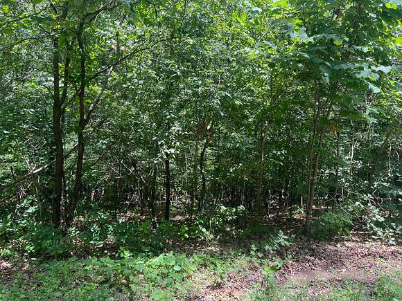 1.5 Acres of Residential Land for Sale in Pocahontas, Arkansas