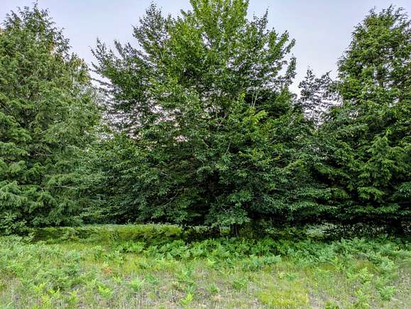 1.32 Acres of Residential Land for Sale in Onekama, Michigan