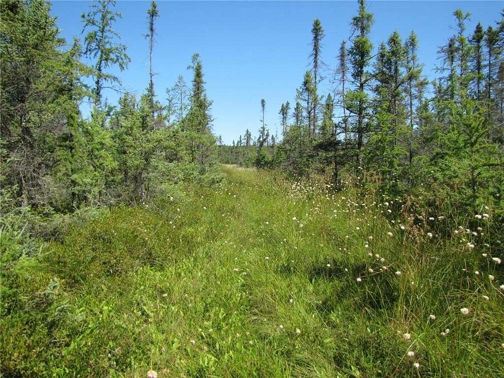 80 Acres of Recreational Land for Sale in Isle, Minnesota