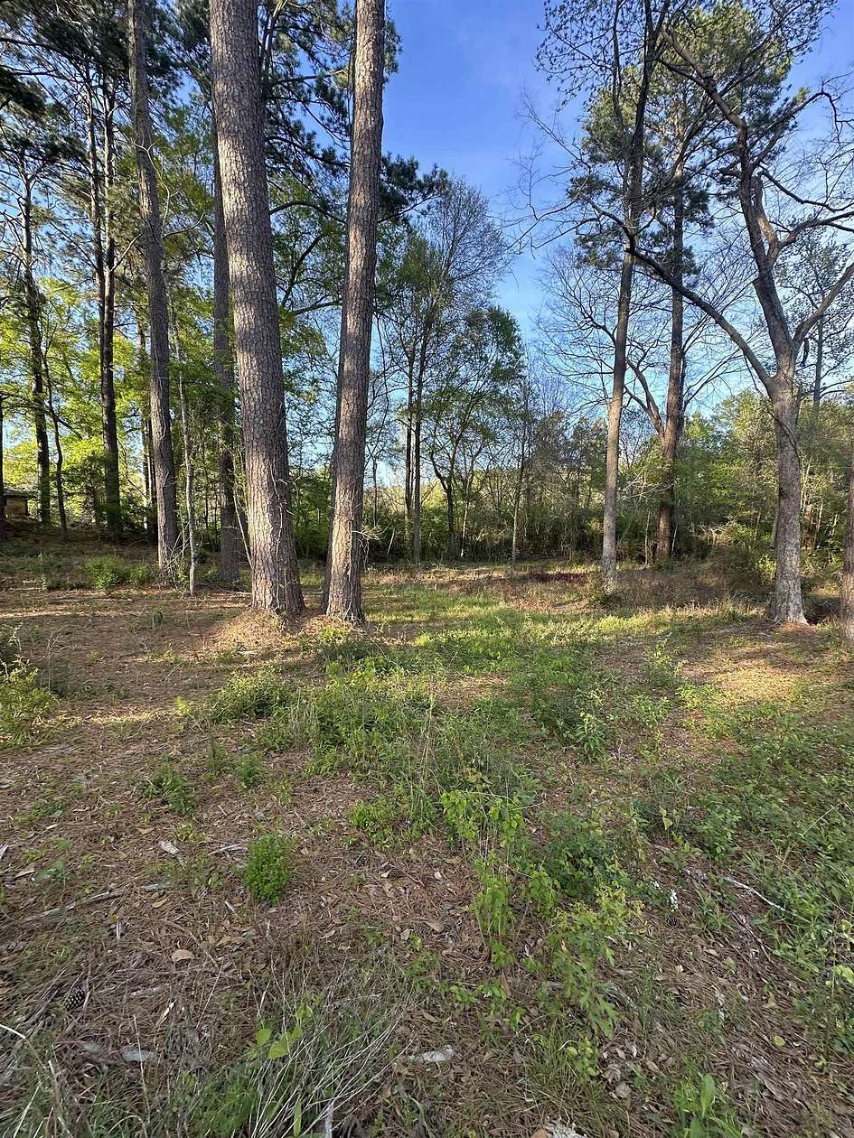 0.5 Acres of Residential Land for Sale in Center, Texas
