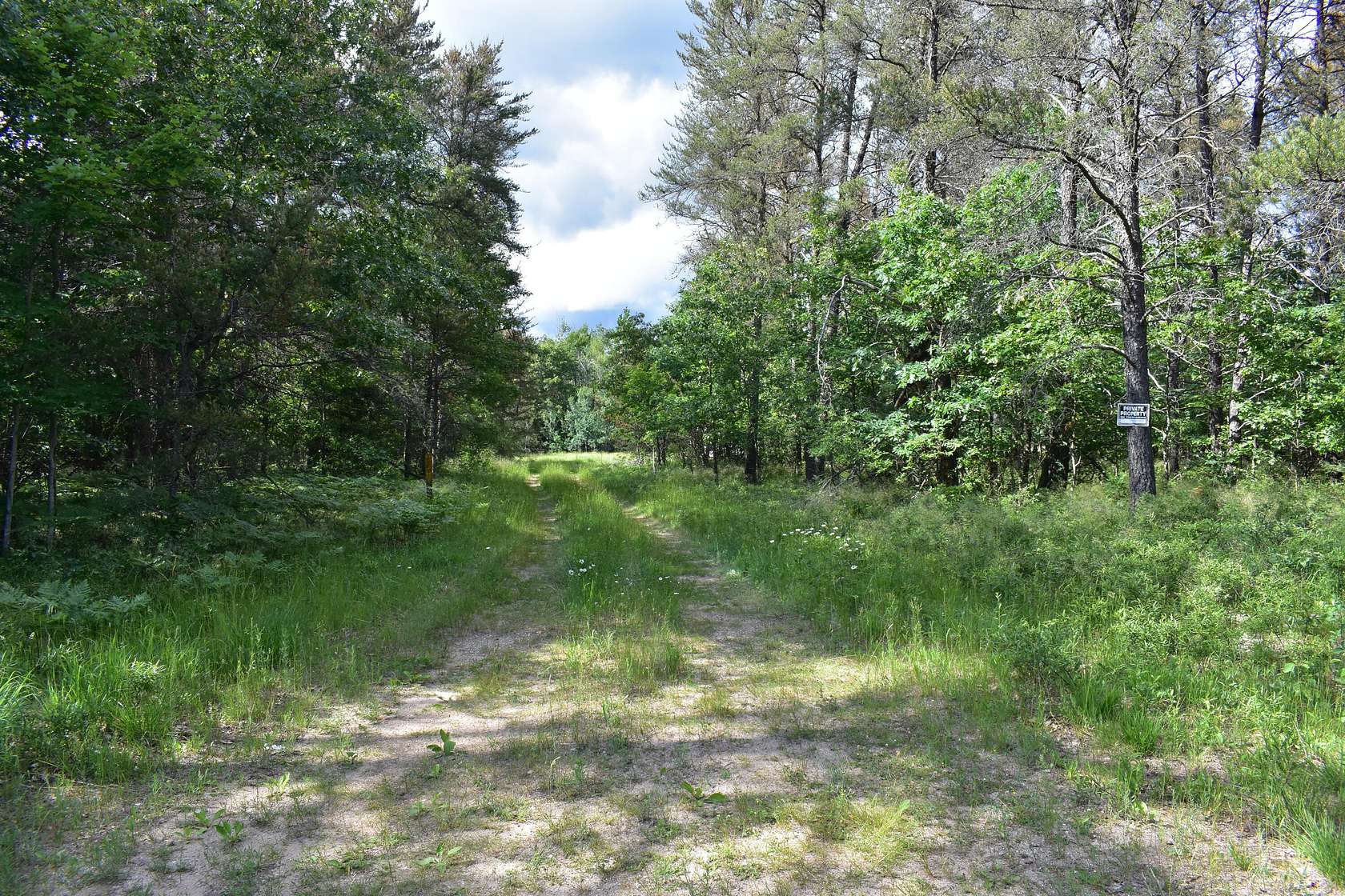 25 Acres of Recreational Land for Sale in Johannesburg, Michigan