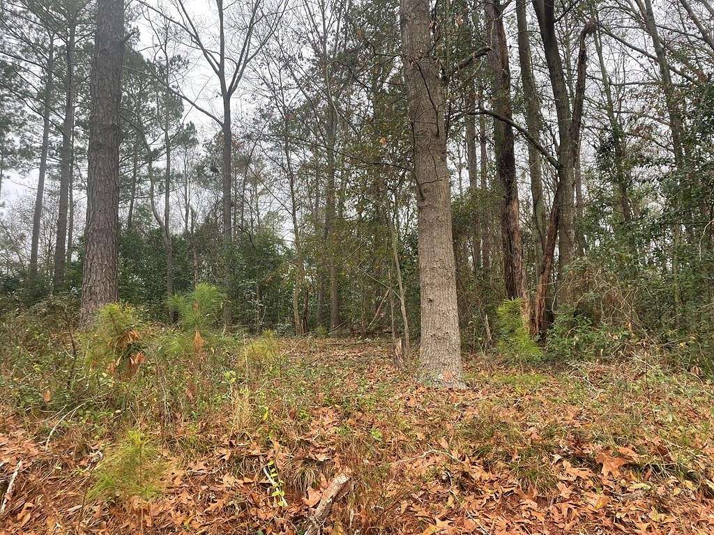 Residential Land for Sale in Cobb, Georgia