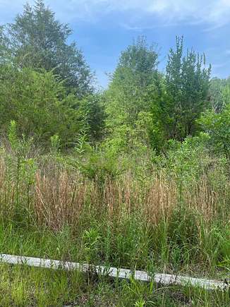 Residential Land for Sale in Townley, Alabama