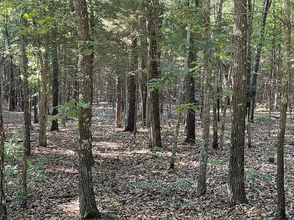 8 Acres of Land for Sale in Ava, Missouri