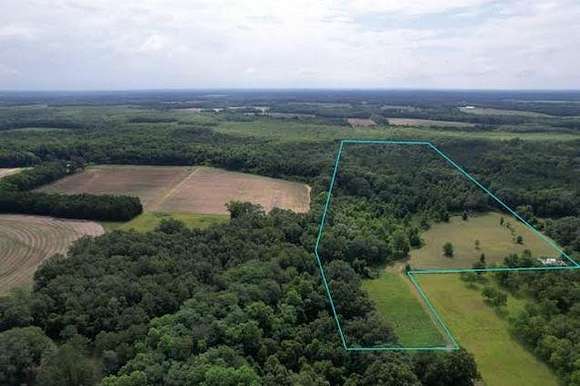27.56 Acres of Recreational Land for Sale in Slocomb, Alabama