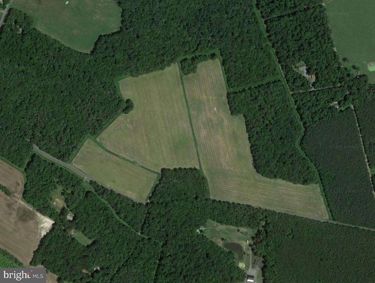 82 Acres of Agricultural Land for Sale in Felton, Delaware