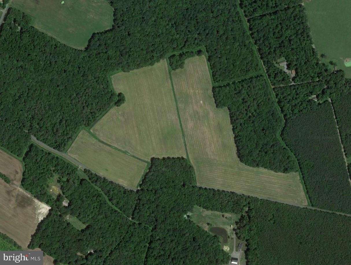 82 Acres of Agricultural Land for Sale in Felton, Delaware - LandSearch