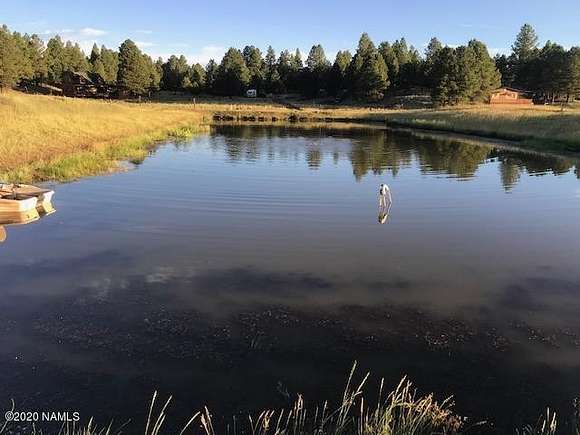 1 Acre of Residential Land for Sale in Flagstaff, Arizona