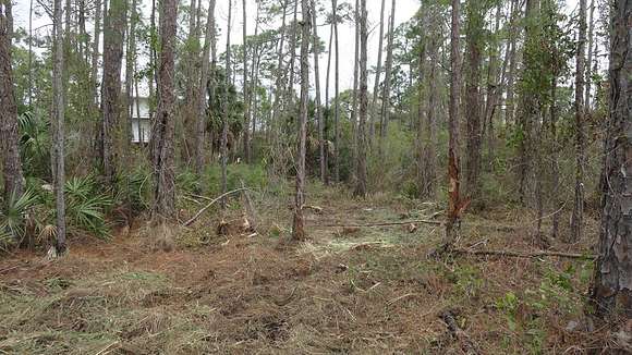 0.344 Acres of Residential Land for Sale in St. George Island, Florida