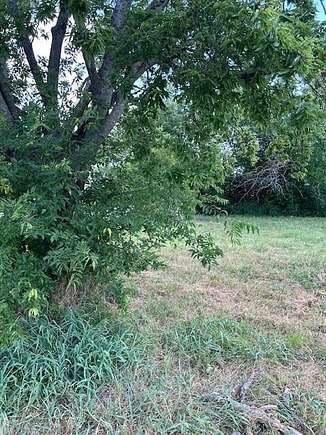 0.367 Acres of Residential Land for Sale in Greenville, Texas