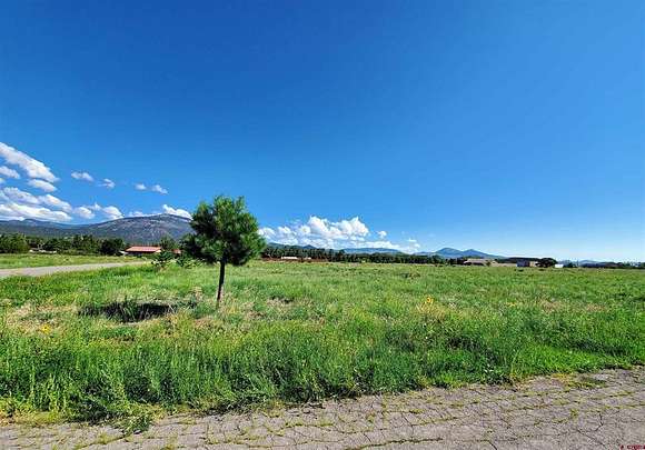 11.98 Acres of Mixed-Use Land for Sale in South Fork, Colorado