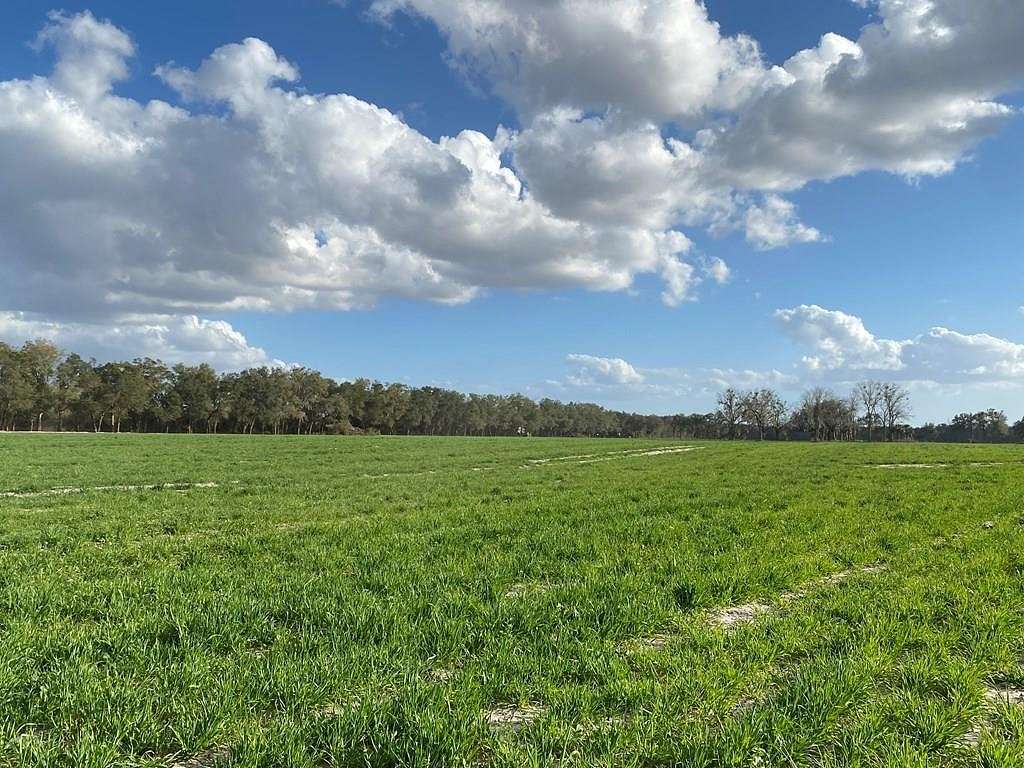 79 Acres of Land for Sale in Chiefland, Florida