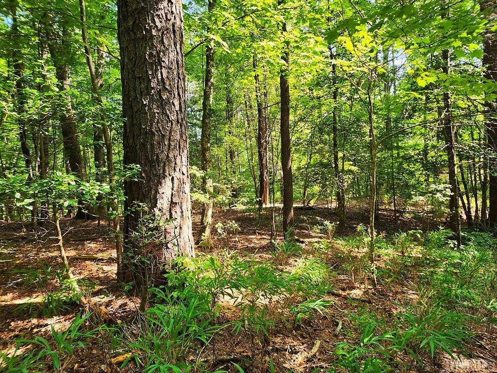 0.7 Acres of Residential Land for Sale in Brevard, North Carolina