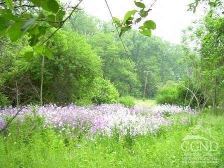 10 Acres of Land for Sale in Schodack Town, New York