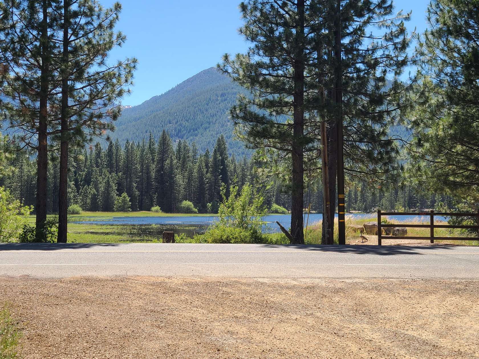 5 Acres of Land for Sale in Weed, California
