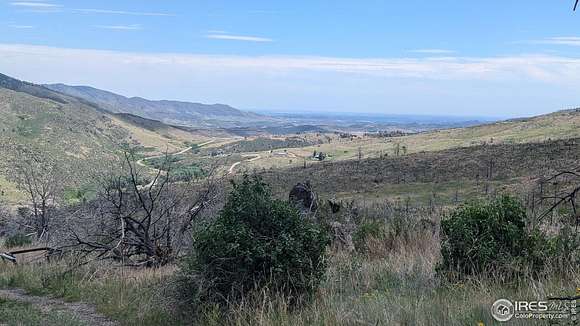 49.06 Acres of Agricultural Land for Sale in Bellvue, Colorado