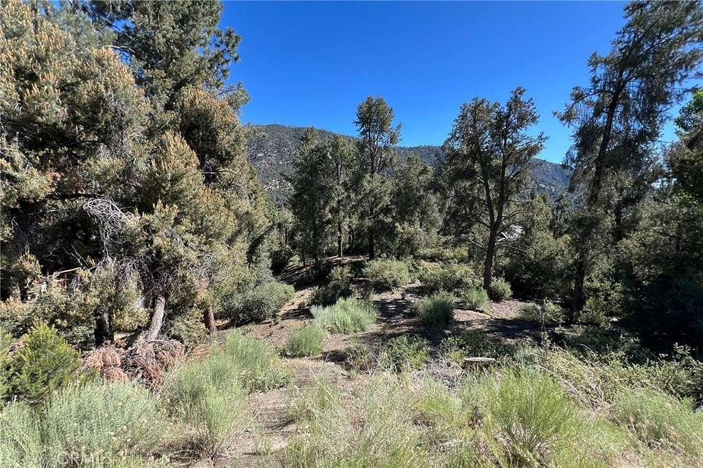 0.221 Acres of Residential Land for Sale in Pine Mountain Club, California