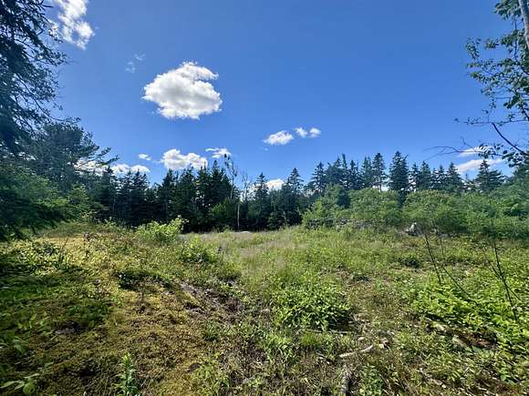 5 Acres of Residential Land for Sale in Pembroke, Maine
