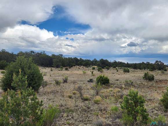 14.87 Acres of Land for Sale in Pie Town, New Mexico