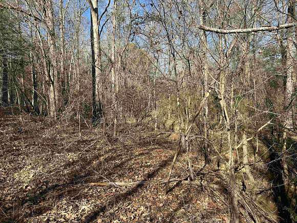61.389 Acres of Recreational Land for Sale in Troup, Texas