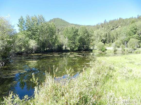 12.53 Acres of Recreational Land for Sale in North Fork, Idaho