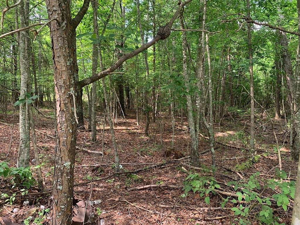 1 Acres of Residential Land for Sale in Spencer, Tennessee