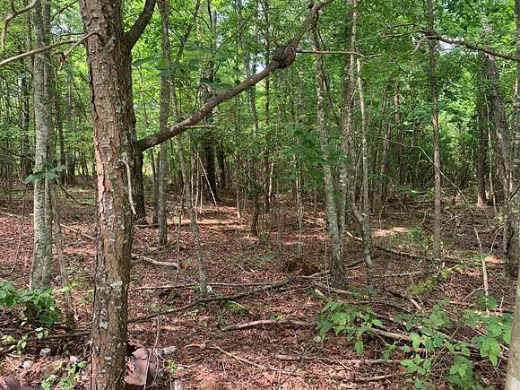 1 Acre of Residential Land for Sale in Spencer, Tennessee