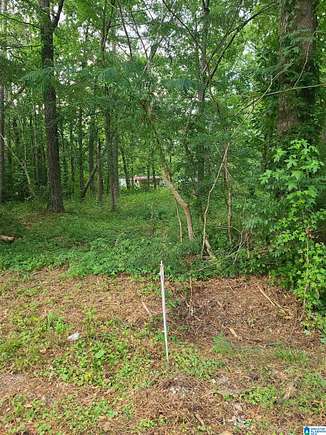 0.49 Acres of Land for Sale in Ashville, Alabama