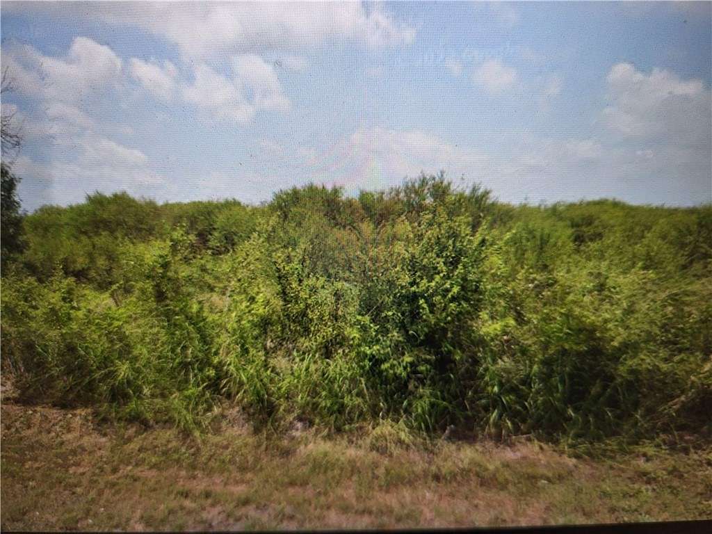 98.11 Acres of Land for Sale in Sinton, Texas