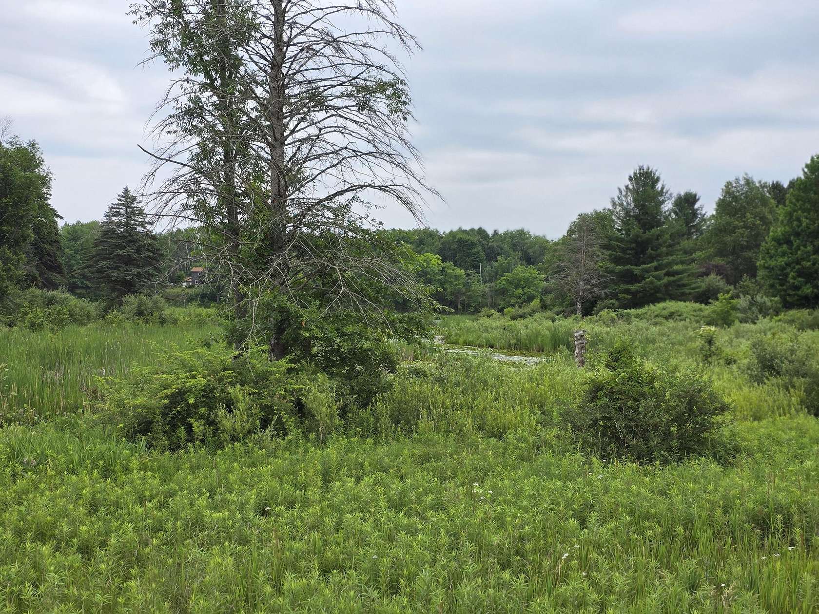 0.58 Acres of Land for Sale in Barryton, Michigan