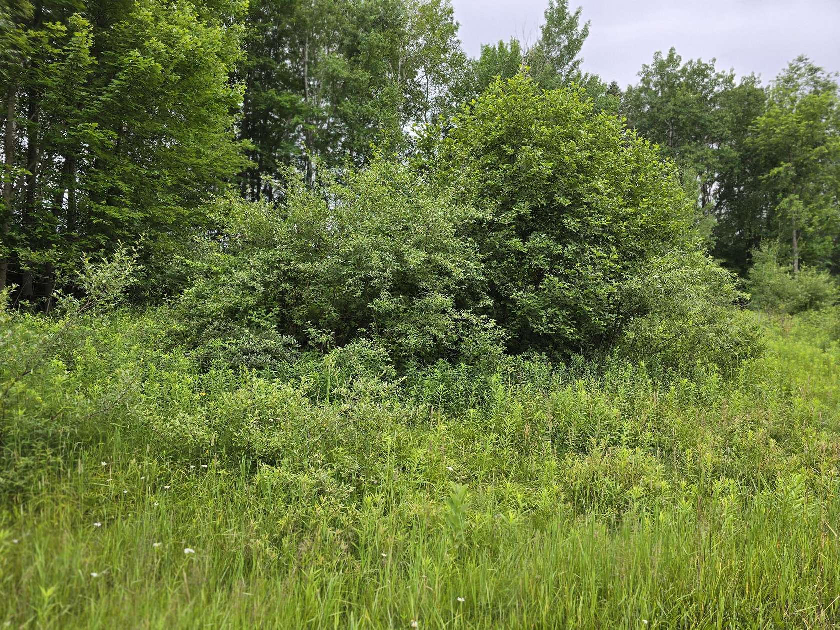 0.85 Acres of Land for Sale in Barryton, Michigan