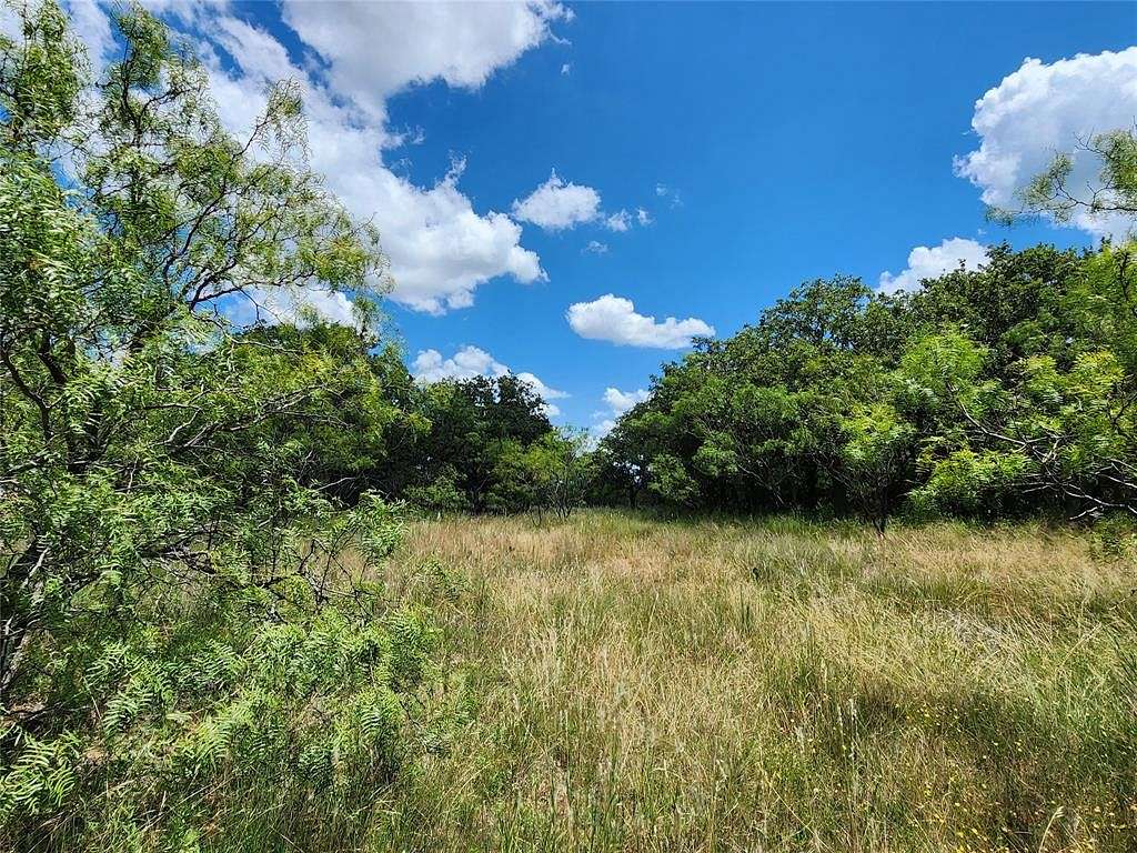 80 Acres of Recreational Land for Sale in Carbon, Texas