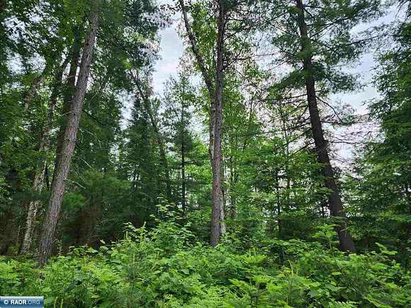 4.6 Acres of Land for Sale in Bigfork, Minnesota