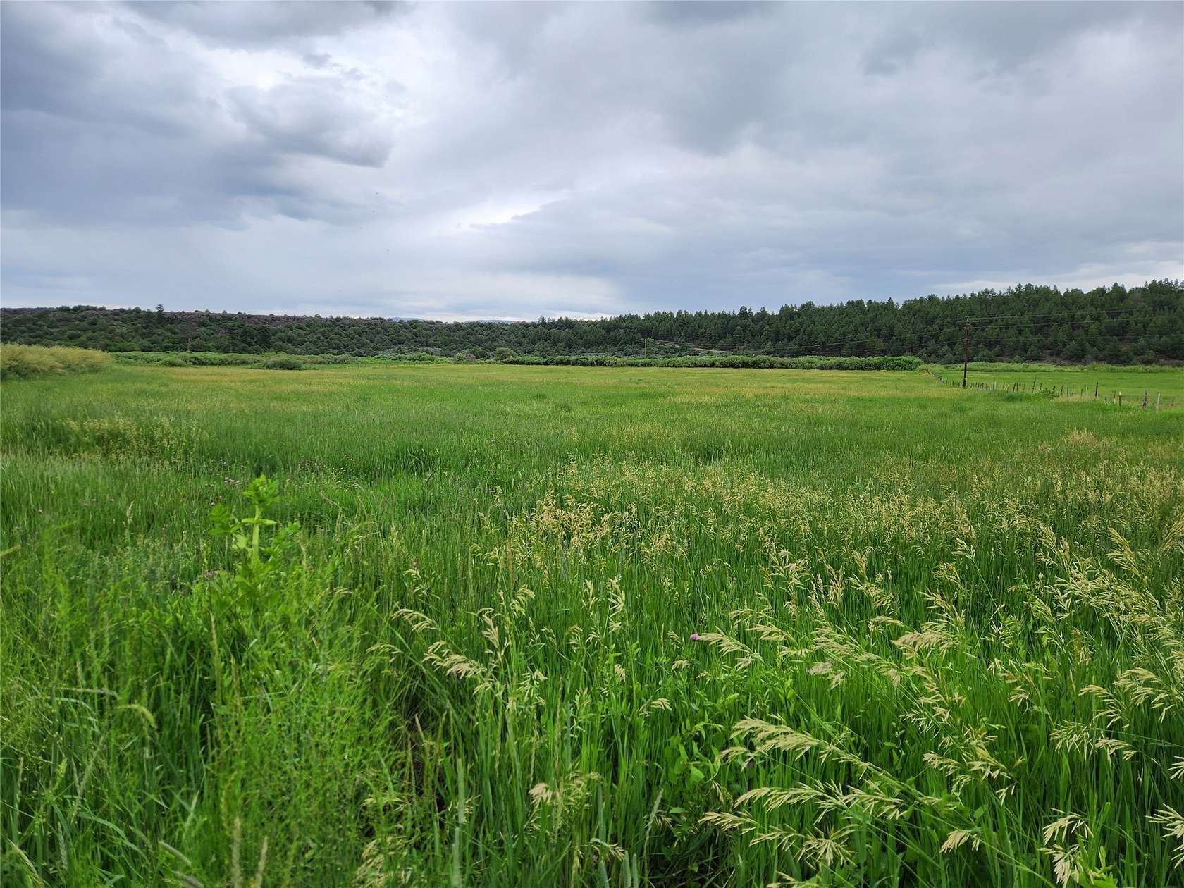 18 Acres of Recreational Land for Sale in Tierra Amarilla, New Mexico