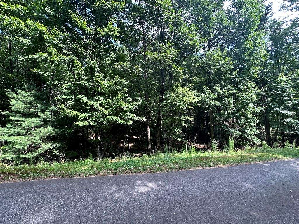 0.76 Acres of Residential Land for Sale in Ellijay, Georgia