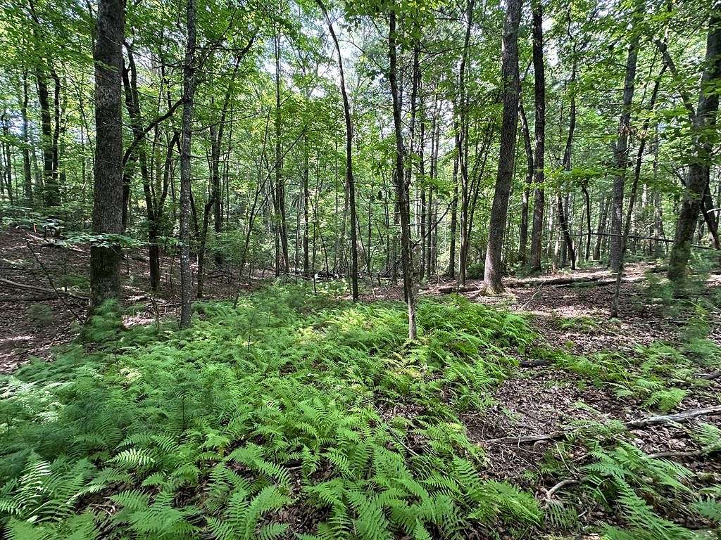 0.96 Acres of Residential Land for Sale in Ellijay, Georgia