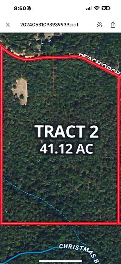41.1 Acres of Land for Sale in Richland, Georgia