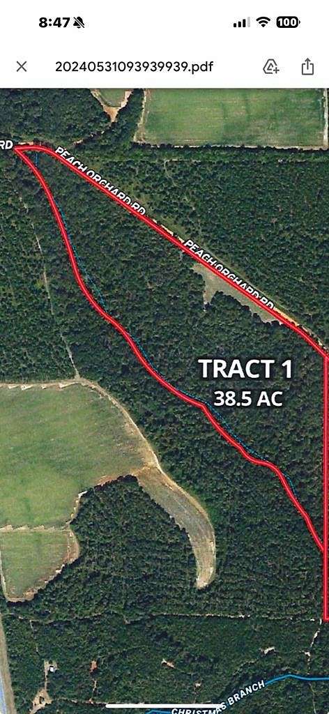38.5 Acres of Recreational Land for Sale in Richland, Georgia